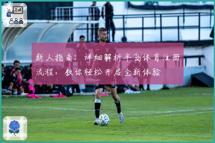 新人指南：详细解析半岛体育注册流程，教你轻松开启全新体验