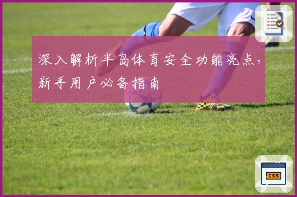 深入解析半岛体育安全功能亮点，新手用户必备指南
