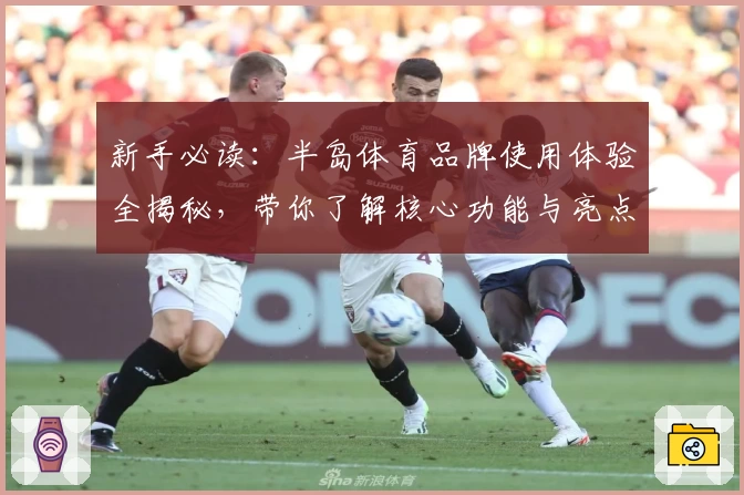 新手必读：半岛体育品牌使用体验全揭秘，带你了解核心功能与亮点