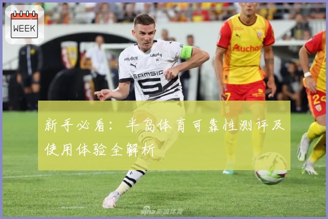 新手必看：半岛体育可靠性测评及使用体验全解析