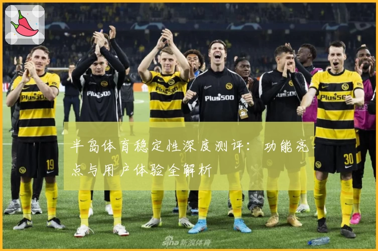 半岛体育稳定性深度测评：功能亮点与用户体验全解析