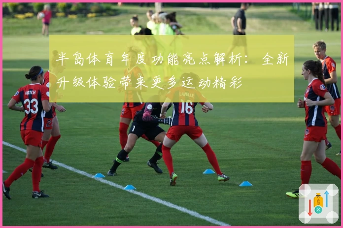 半岛体育年度功能亮点解析：全新升级体验带来更多运动精彩